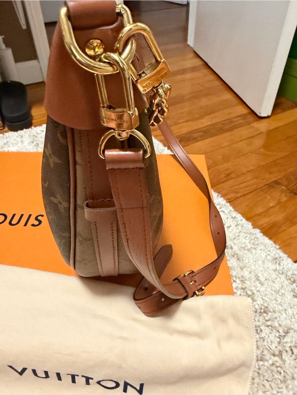 Louis Vuitton Loop Hobo - Picture 3 of 6
